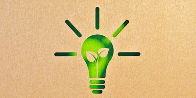 Illustration of a green lightbulb with a plant stem growing inside of it against a brown background.