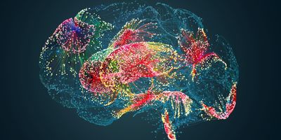 Graphic illustration of a human brain with centers of activity highlighted as clusters.