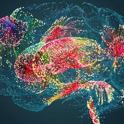 Graphic illustration of a human brain with centers of activity highlighted as clusters.