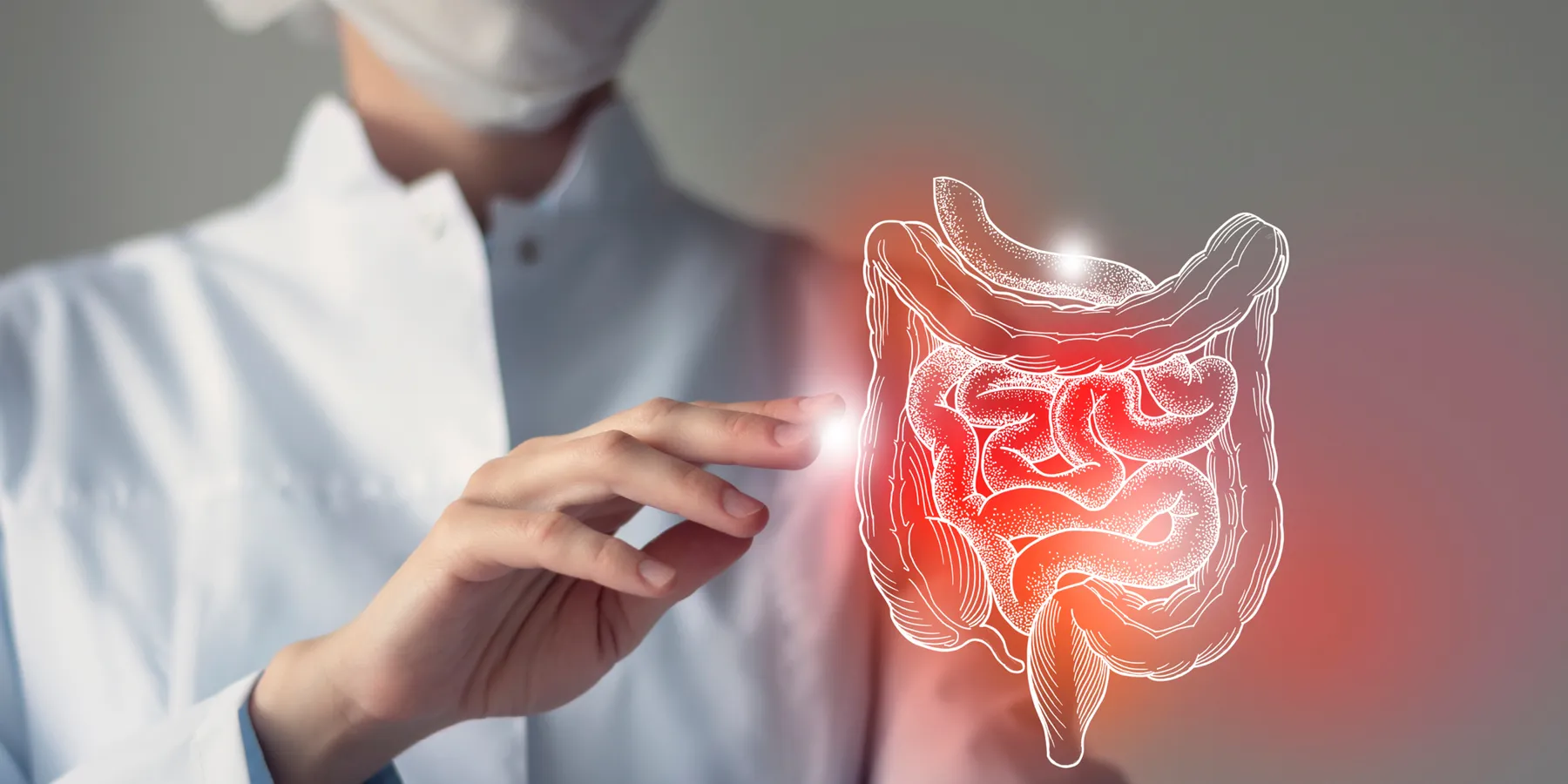 A clinician points to a virtual drawing of the large and small Intestines.