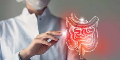 A clinician points to a virtual drawing of the large and small Intestines.