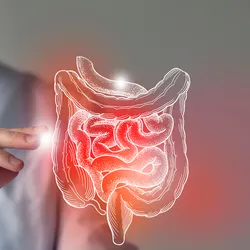 A clinician points to a virtual drawing of the large and small Intestines.