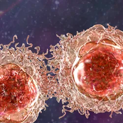 3D illustration of cancer cells.