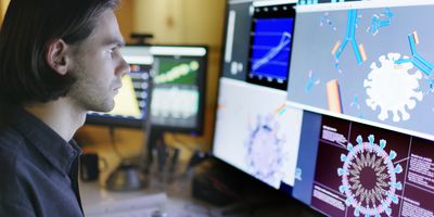 Stock photo of a young man working a large monitor displaying a variety of data & illustrations of viruses and antibodies