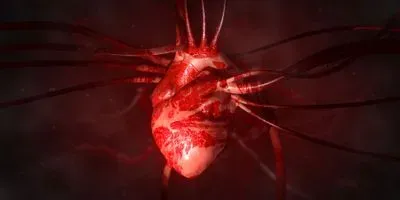 heart