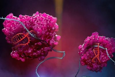 New CRISPR platform expands RNA editing capabilities