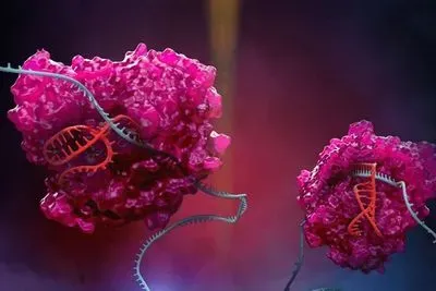 New CRISPR platform expands RNA editing capabilities