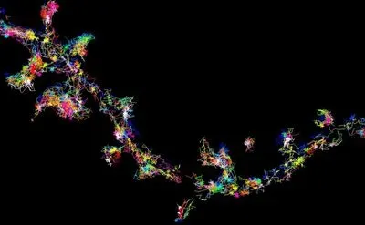 The Signaling Protein Fyn in Living Brain Cells