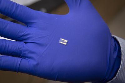 WPI liquid biopsy chip snares circulating tumor cells in blood drops from cancer patients