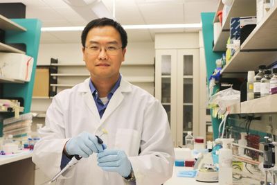 Dr. Xiang 'Shawn' Zhang