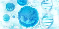 genetic testing, fetuses