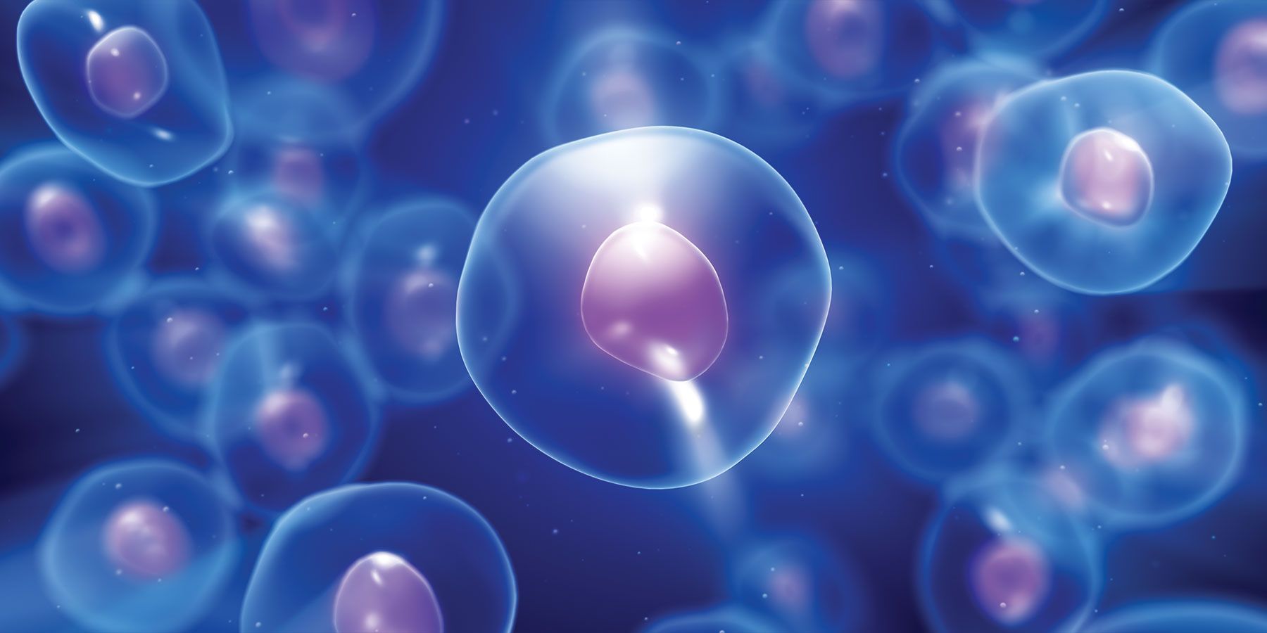 A cell floating with numerous other cells in the background