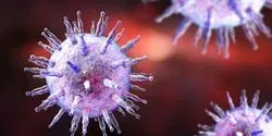 Illustration of Epstein-Barr Virus