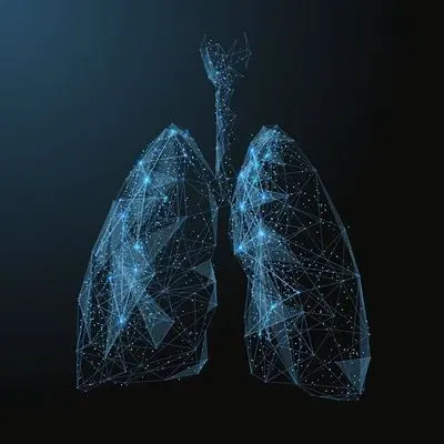 lungs