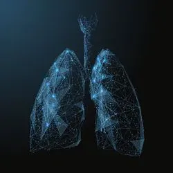 lungs