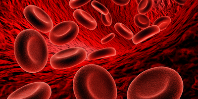 Red blood cells