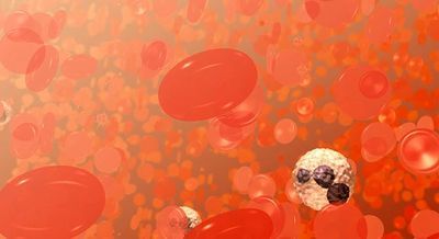 Doctors May Be Able to Enlist a Mysterious Enzyme to Stop Internal Bleeding