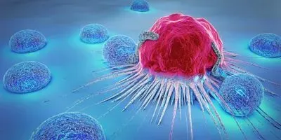 Cancer Cell