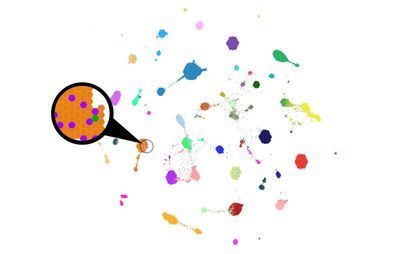 Tool that groups tumors by molecular similarity