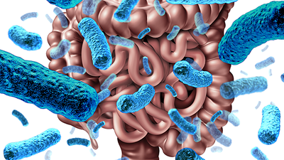 New Directions for Infant Microbiome Research