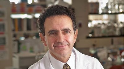 The Next Frontier in 3-D Bioprinting and Tissue Engineering