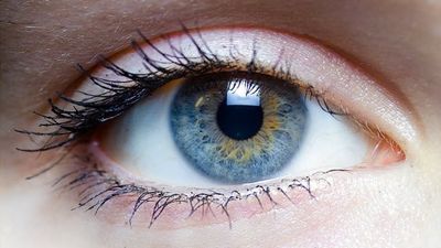 Easier Treatment for Blinding Eye Disease Shows Promise in Clinical Trial