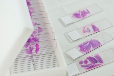 Clinical Pathology