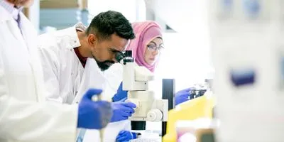 Clinical lab professionals wearing lab coats and gloves in the lab look into a microscope at a clinical sample.