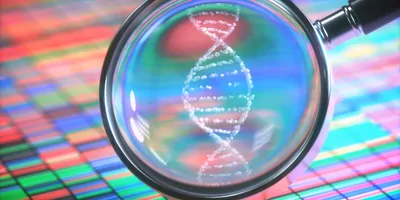 Image of a magnifying glass focused on the drawing of a DNA molecule.