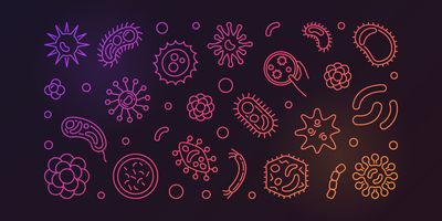 Clinical Microbiology