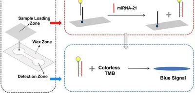 Diagram illustrating the mechanism of a paper-based analytical device for miRNA-21 detection.