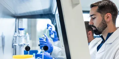 Scientist working in a laboratory on recombinant antibodies