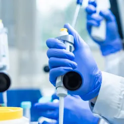 Scientist working in a laboratory on recombinant antibodies
