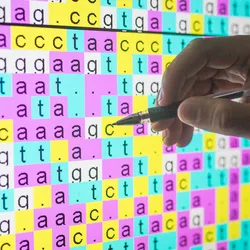 Analysis of genetic information related to pulmonary fibrosis