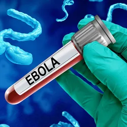 Laboratory testing for Ebola outbreak detection and diagnosis
