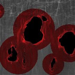 Detailed representation of Cyclospora oocysts for educational purposes