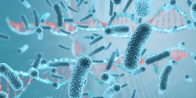 Microscopic view of bacteria related to Salmonella Javiana infections
