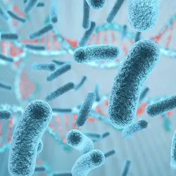 Microscopic view of bacteria related to Salmonella Javiana infections