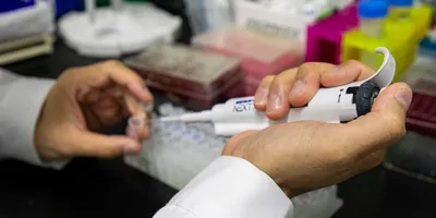 Image showing laboratory research on developing new lipid nanoparticle delivery vehicles for mRNA therapeutics.