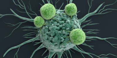 Graphical illustration of a cancer cell being attacked by T cells. 