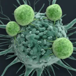 Graphical illustration of a cancer cell being attacked by T cells. 