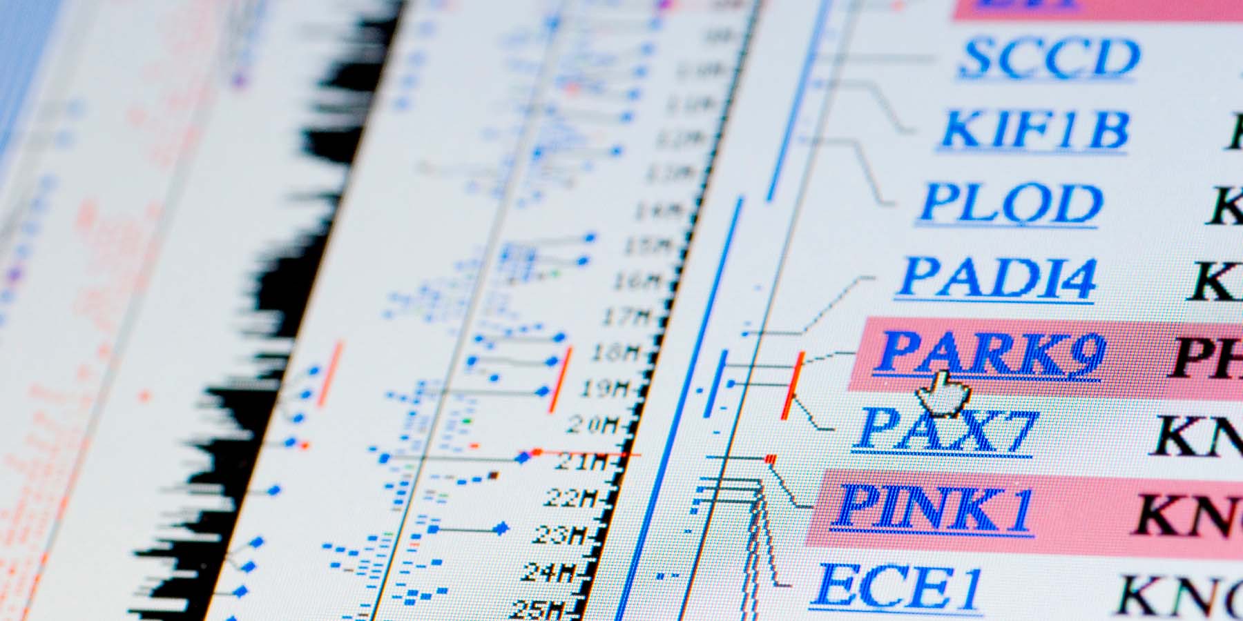Genetic test results