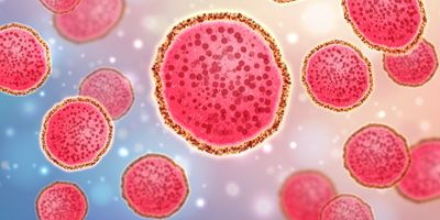 A vector illustration of monkeypox (mpox) virus cells.
