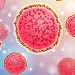 A vector illustration of monkeypox (mpox) virus cells.