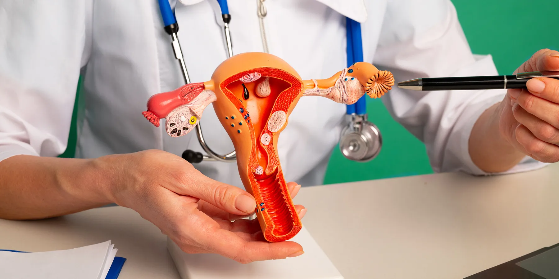 A closeup of a clinician pointing to a 3D, plastic model of the uterus and ovaries.