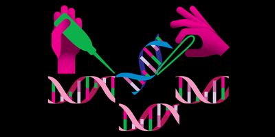 A vector illustration of a pair of hands cutting and gluing back DNA segments.