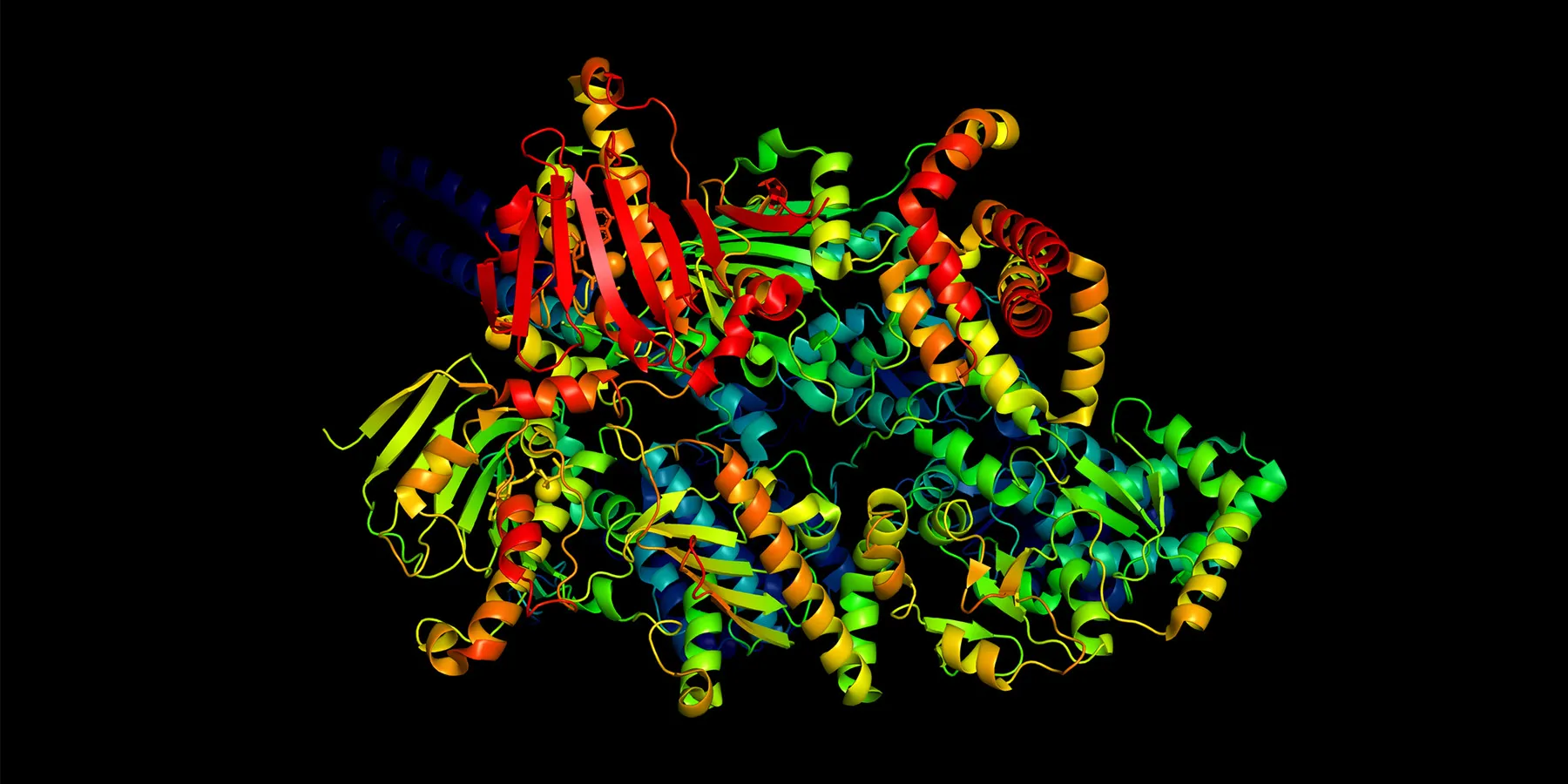 A 3D ribbon model of a protein molecule.
