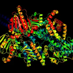 A 3D ribbon model of a protein molecule.