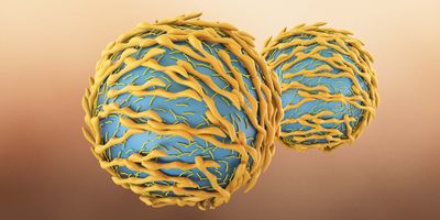 3D illustration of a close-up of T cells.