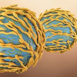 3D illustration of a close-up of T cells.
